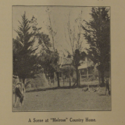 A Scene at Melrose Country Home